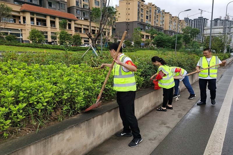 公司开展绿化带情形整治行动