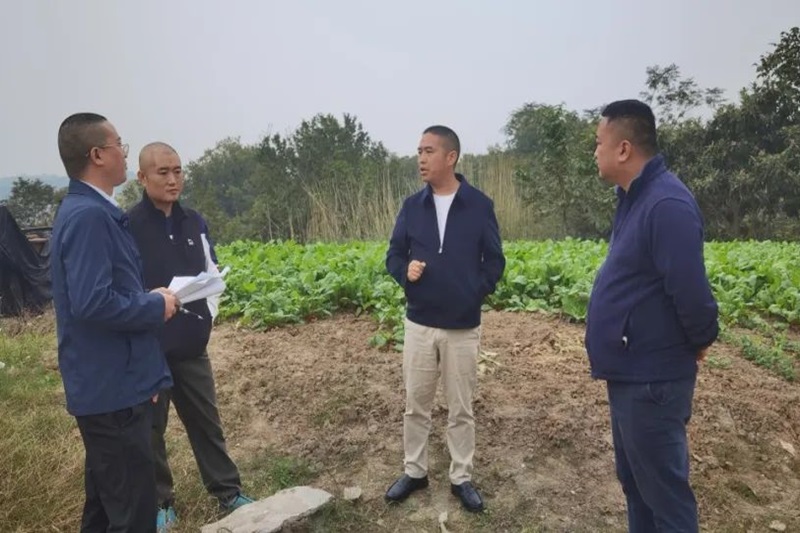 范文伟带队督查项目建设事情