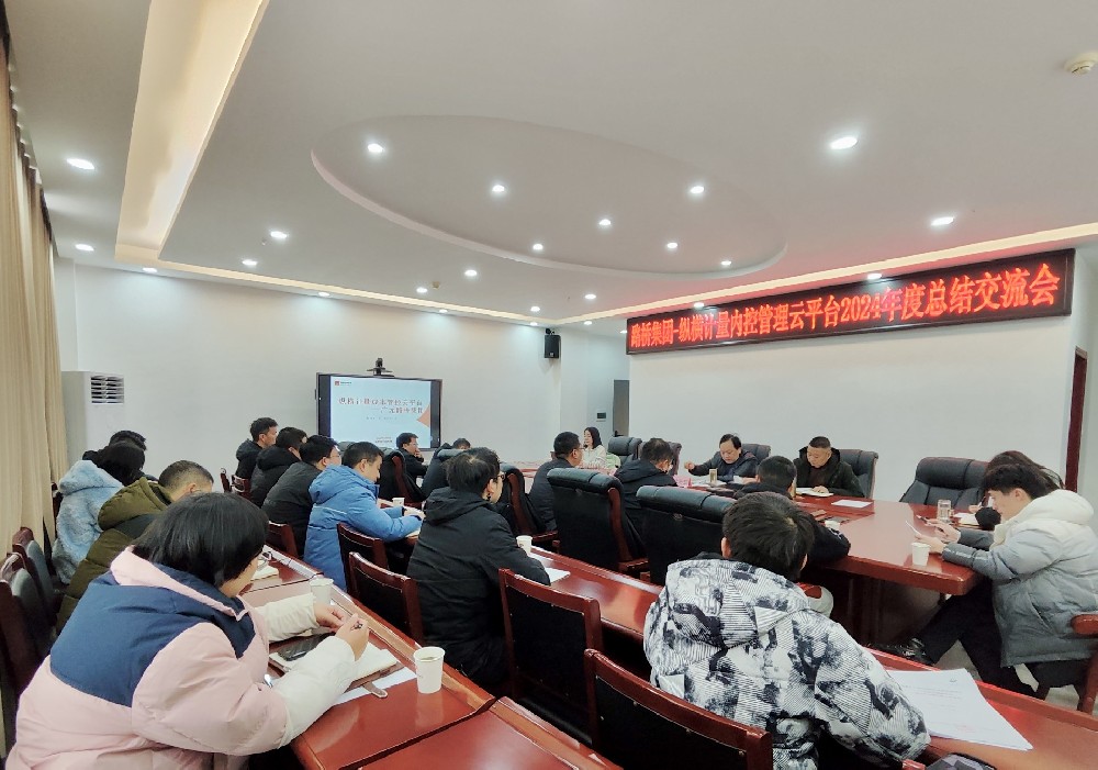 Z6尊龙凯时集团携手纵横计量内控治理云平台召开2024年度总结交流会